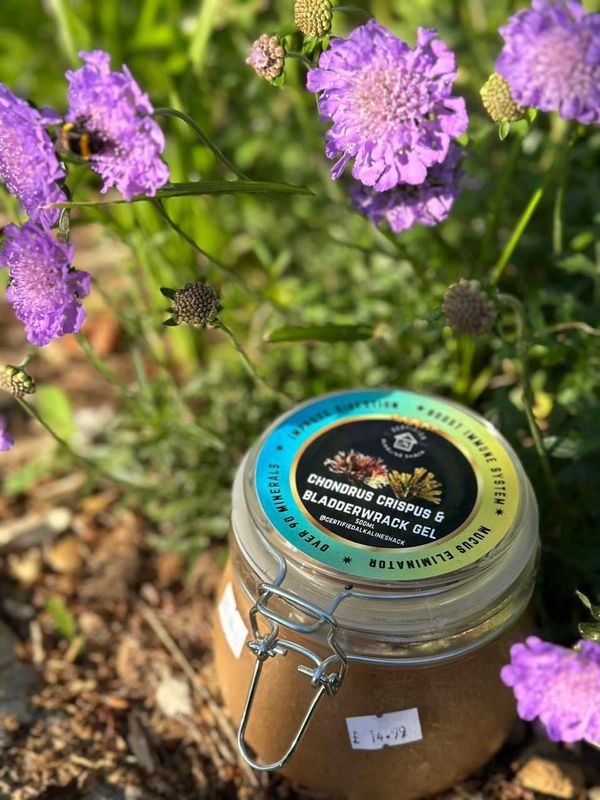 Gel jar among purple flowers
